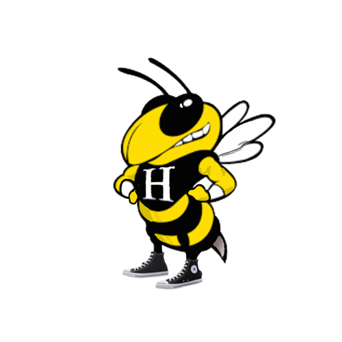 Hornet wearing Chuck Taylor high tops